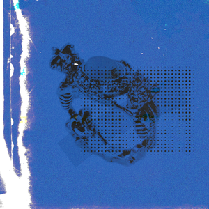 女性外阴性交时按摩影视
