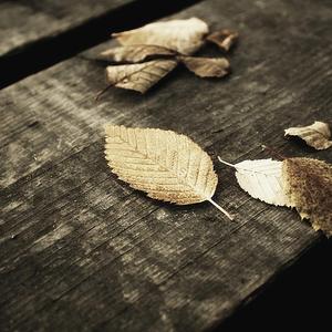 女性外阴性交时按摩影视
